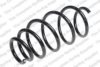 ROC CS8244 Coil Spring